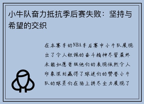 小牛队奋力抵抗季后赛失败：坚持与希望的交织