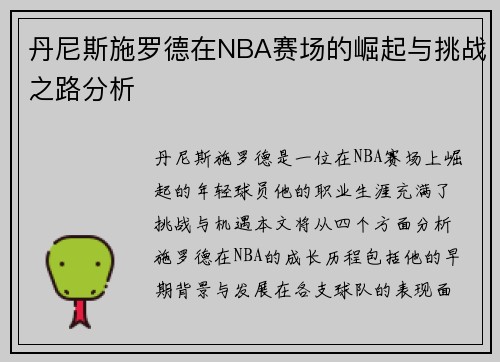丹尼斯施罗德在NBA赛场的崛起与挑战之路分析