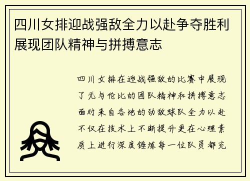四川女排迎战强敌全力以赴争夺胜利展现团队精神与拼搏意志